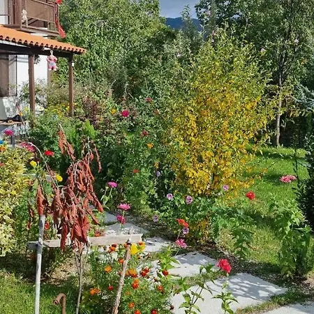 Vila Elektra Guest house
