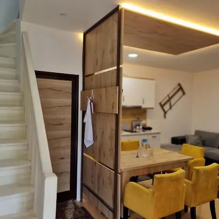 Vila Elektra