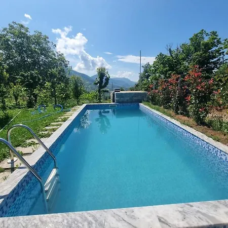 Vila Elektra Guest house Tirana