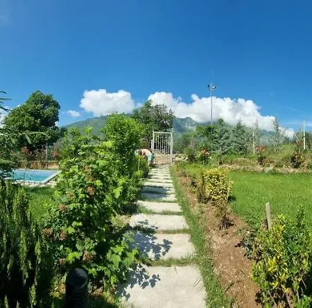 Vila Elektra Guest house