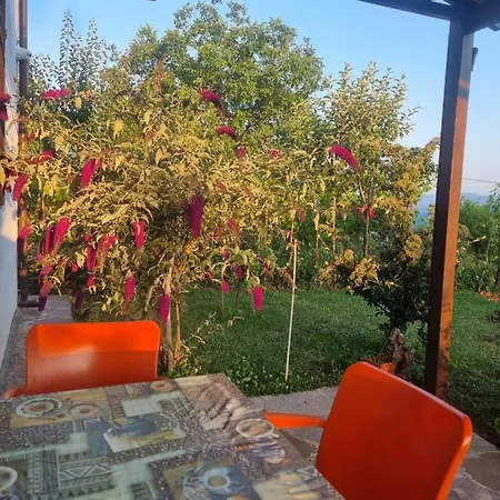 Vila Elektra Guest house Tirana