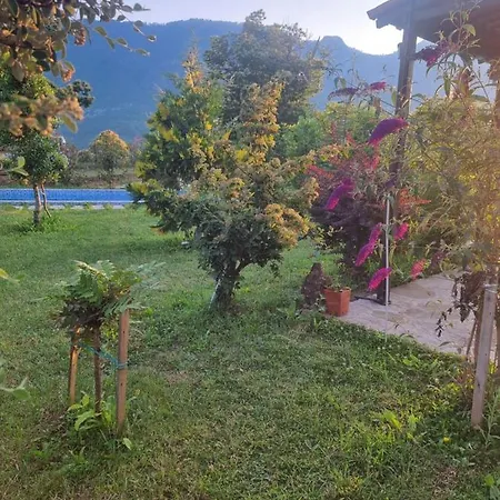 Vila Elektra