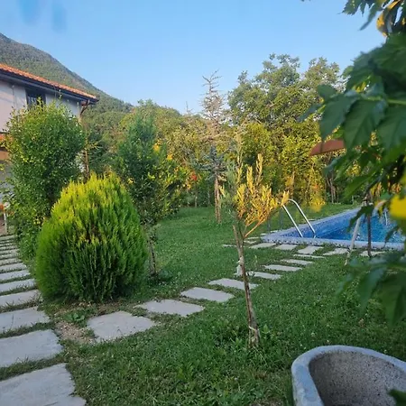 Vila Elektra Tiran
