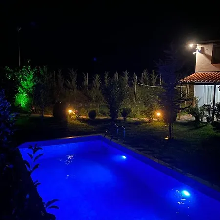 Vila Elektra Guest house Tirana