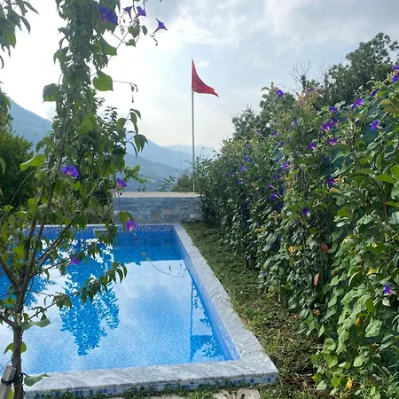 Guest house Vila Elektra *