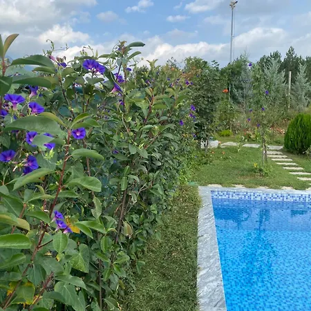 Guest house Vila Elektra *