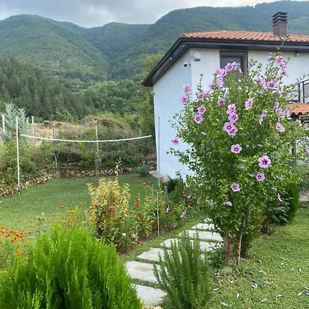 Vila Elektra Guest house