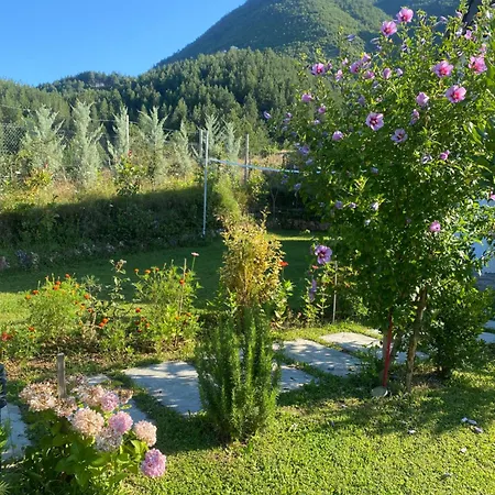Vila Elektra Guest house