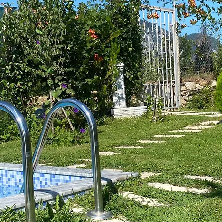 Vila Elektra *